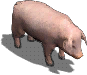 000030.png