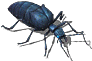 00030.PNG