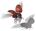 00030.PNG