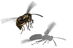 00030.PNG