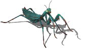 00030.PNG