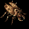 000030.png