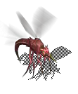 000030.png