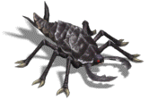 000013.png