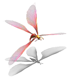 00030.PNG