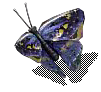 000072.png