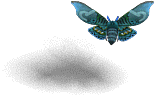000039.png