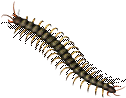 00430.png