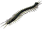 0010.png