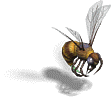 000026.png