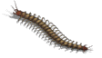 000029.png