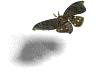 000028.png