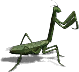 000020.png