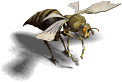 000032.png