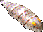 002193.png