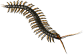 001473.png