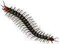 000071.png