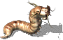 000020.png