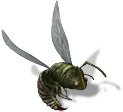 000031.png