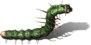 002900.png