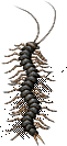 001520.png