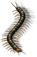 002200.png