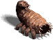 00030.png