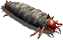 00030.png