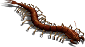 00030.png