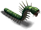 00030.png