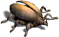 00033.png