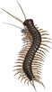 00000.png