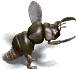 00021.png