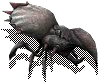 00030.png