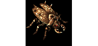 虫33