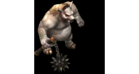 猪42
