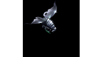 虫59